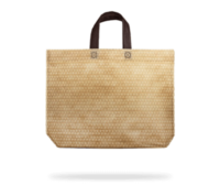 Bolsa Beach