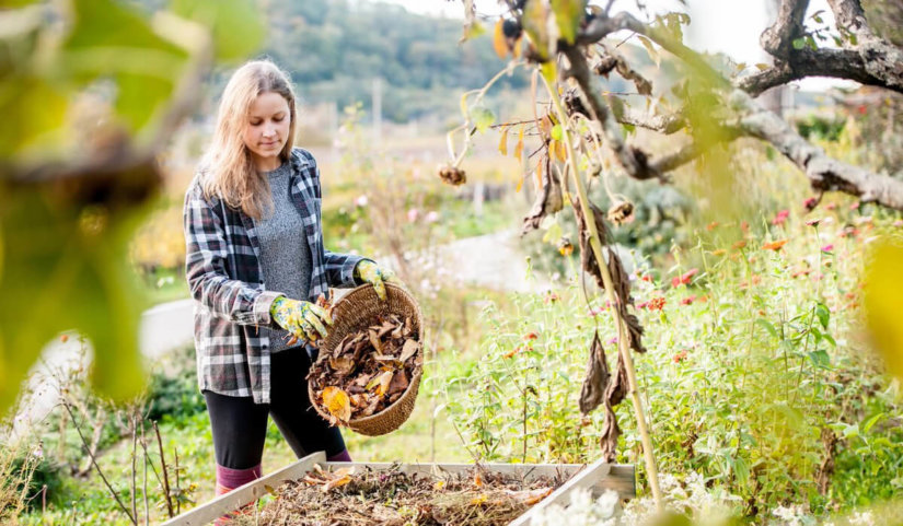 Compostable y biodegradable: ¿En qué se diferencian estos dos términos?